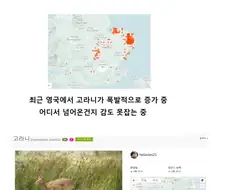 [수출] 고라니 수출 성공.jpg