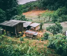 국내 도시 모습들.jpg