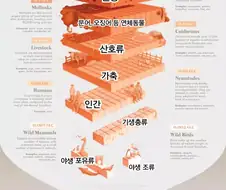 동물이 지구 생물에서 소수민족이네.jpg