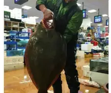 수산시장에서 광어 한마리에 68만원 받음