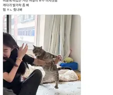 냥빡친 고양이.jpg