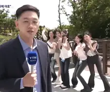 뉴스 야호