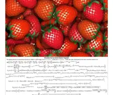 수학공식으로 예술을 하는 사람.jpg