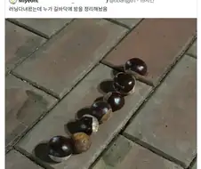 와 길바닥에 밤이 있네.jpg