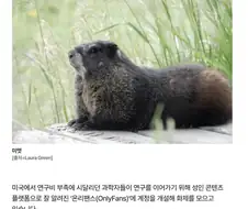 연구비가 부족해서 온리팬스를 한 연구자들