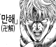 빈란드사가는 이런 만화..