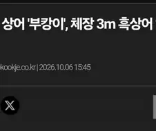 "북항 상어 암컷 확정이라 이거지...??".jpg