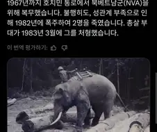 동료를에게 총살당한 중위