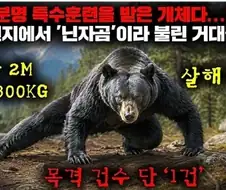 아니 이 영상 썸네일 엄청 신경쓰이네 ㅋㅋㅋ