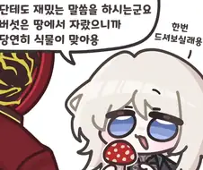 버섯은 식물 아니라고