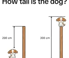 할배들 치매예방 하고가세요