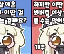 사회 안전망이 필요한 이유 3줄 요약