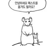 정중하게 물어보는 쥐.jpg