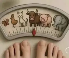 숫자 표시를 싫어하는 사람들을 위한 체중계