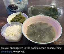 해외에서는 반응이 별루인 밥상
