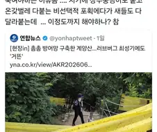 첫 문장 밖에 귀에 안들어옴.jpg