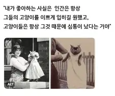 고양이와 인간의 역사