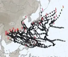 너무 대놓고 한국 패싱하는거 아니냐고 말 나오는 것