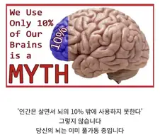 뇌에 대해 너무 멀리 퍼진 유사과학.jpg