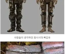 우리가 상상하는 뼈 갑옷 vs 실제 뼈 갑옷