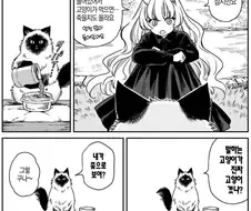고양이 그거 양파 먹으면 죽는거 아님?