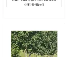 애플을 노리는 리트리버.jpg