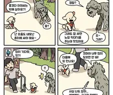 눈물의 4컷만화