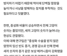 새덕후가 똥볼찬 건 둘째치고