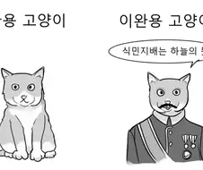 고양이 입양할때 조심해야 하는 이유