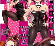 [말딸] 사쿠라 바니걸 오.manhwa