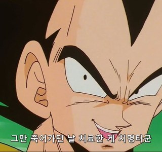 [드래곤볼]사이언인의 비밀