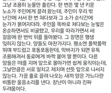 도살장에서 5년을 일한 중국인이 깨달았다는 것