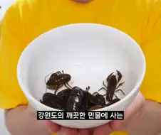검정고무신에 나온 가재 매운탕 재현.jpg