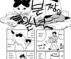 집고양이 분짱의 일년.manga