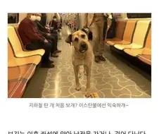 그날 본 개의 이름을 우리는 아직 모른다