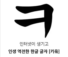 인터넷이 생기고 인생 역전한 한글 글자