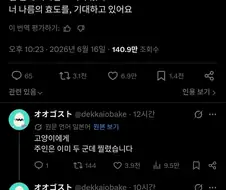 주인은 고양이에게 큰 기대를 하고 있다.twit