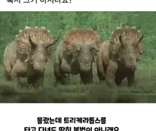 의외로 불법이 아닌 것