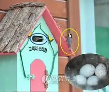 "빈집 점거 개꿀~"