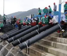 의외로 이미 먹어봤을지도 모르는 온배수 양식