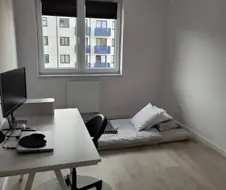 이 방에서 1년을 버티면