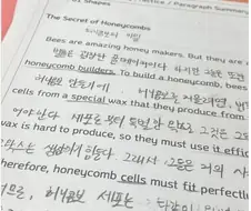 애들 시험지 채점하다 체통없이 뿜을 뻔함