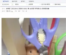 만화 번역해서 취조받은 갤러.Dc