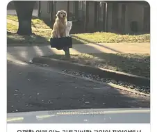 운전하다가 급히 차를 멈춘 이유