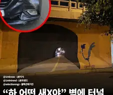 운전사:이 씹새끼가