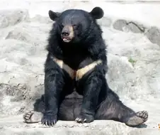 해외에서 100일 이상 거주하면 안되는 이유