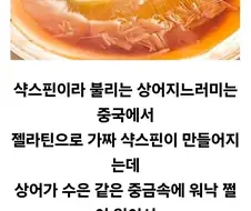 중국의 가짜 중 여러모로 진짜보다 나은 것