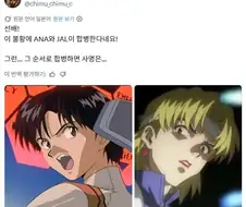 일본 양대 항공사 합병 이름 밈.jpg