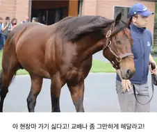 모든걸 쥐어짜인 남자의 표정