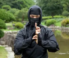 난생 첫 전기 파리채를 장만하고서 깨달은 것